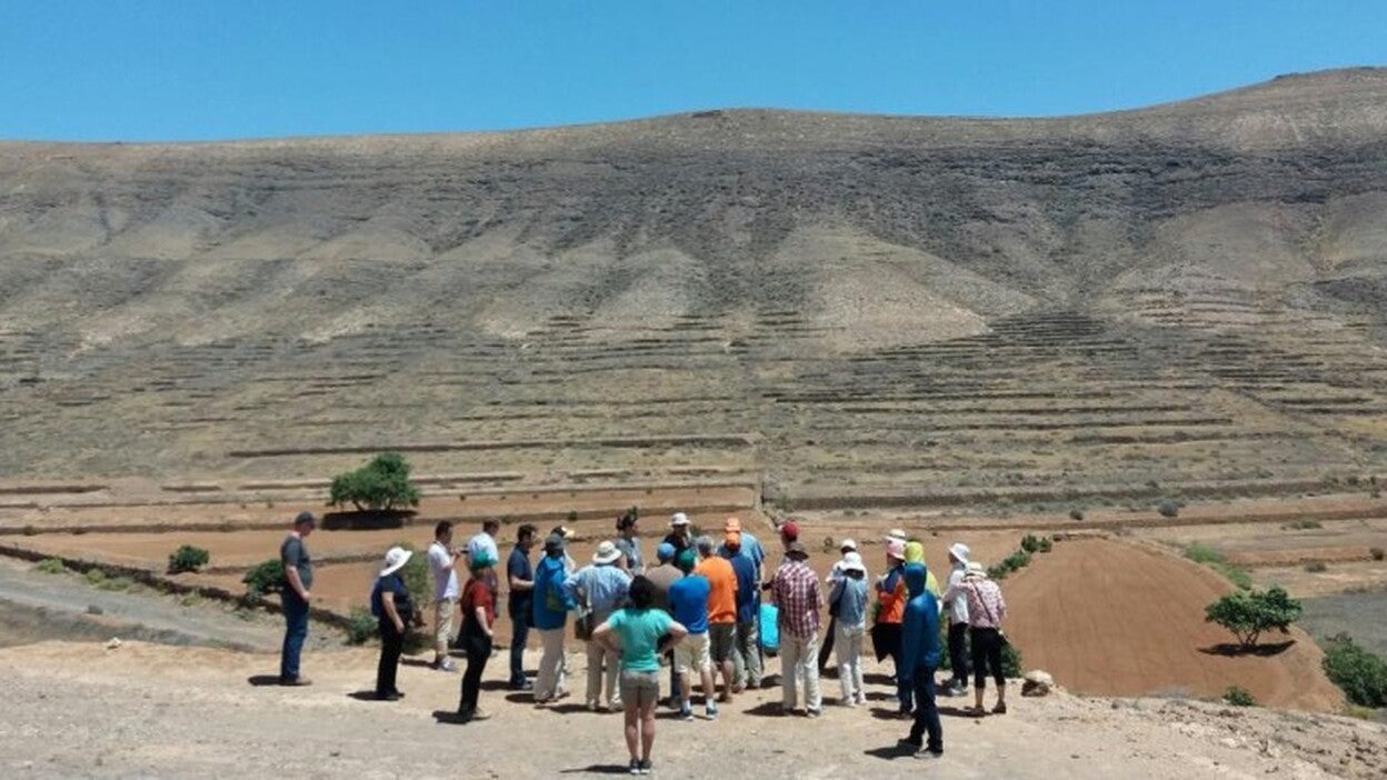 Las gavias como ejemplo de gestión del suelo