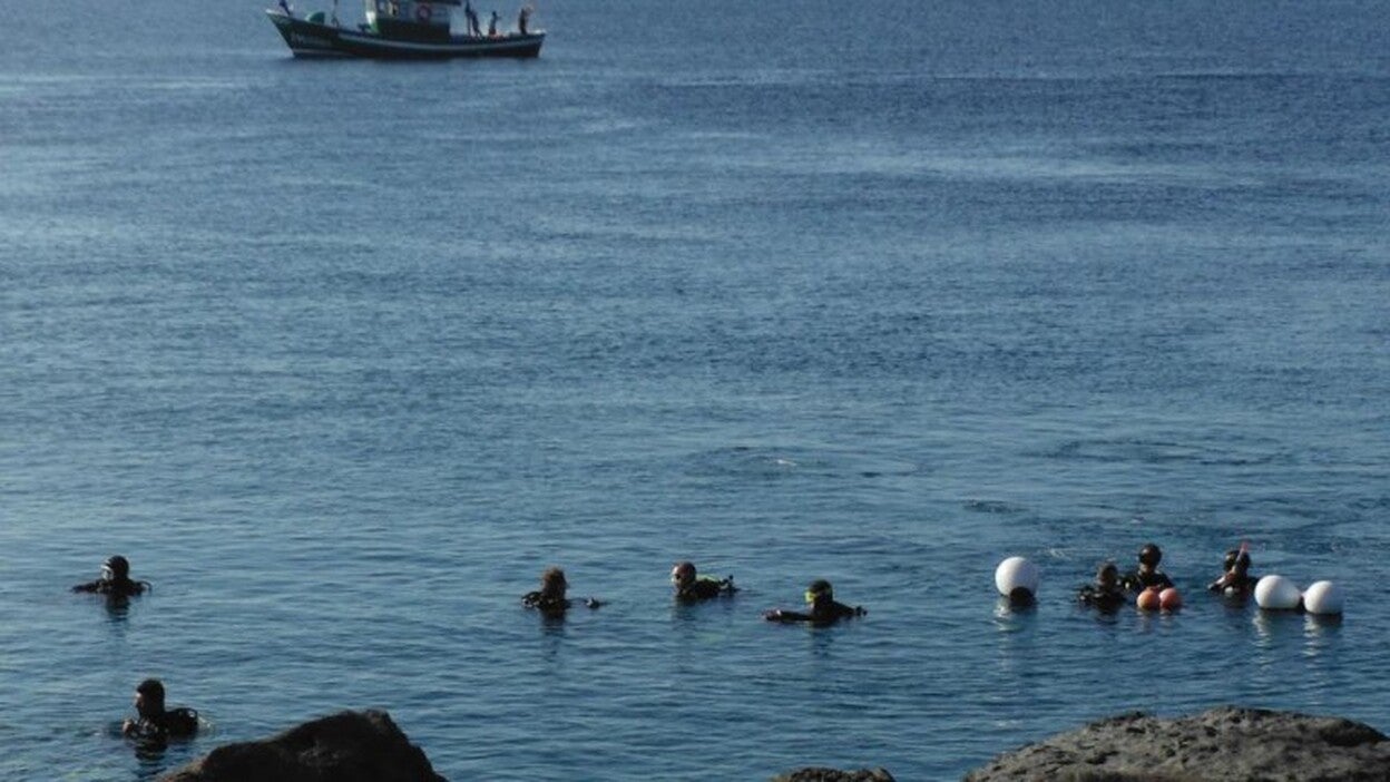 El senador insta a desbloquear la estación de buceo sureña