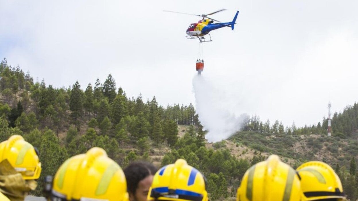Vigías de un paraíso en alerta
