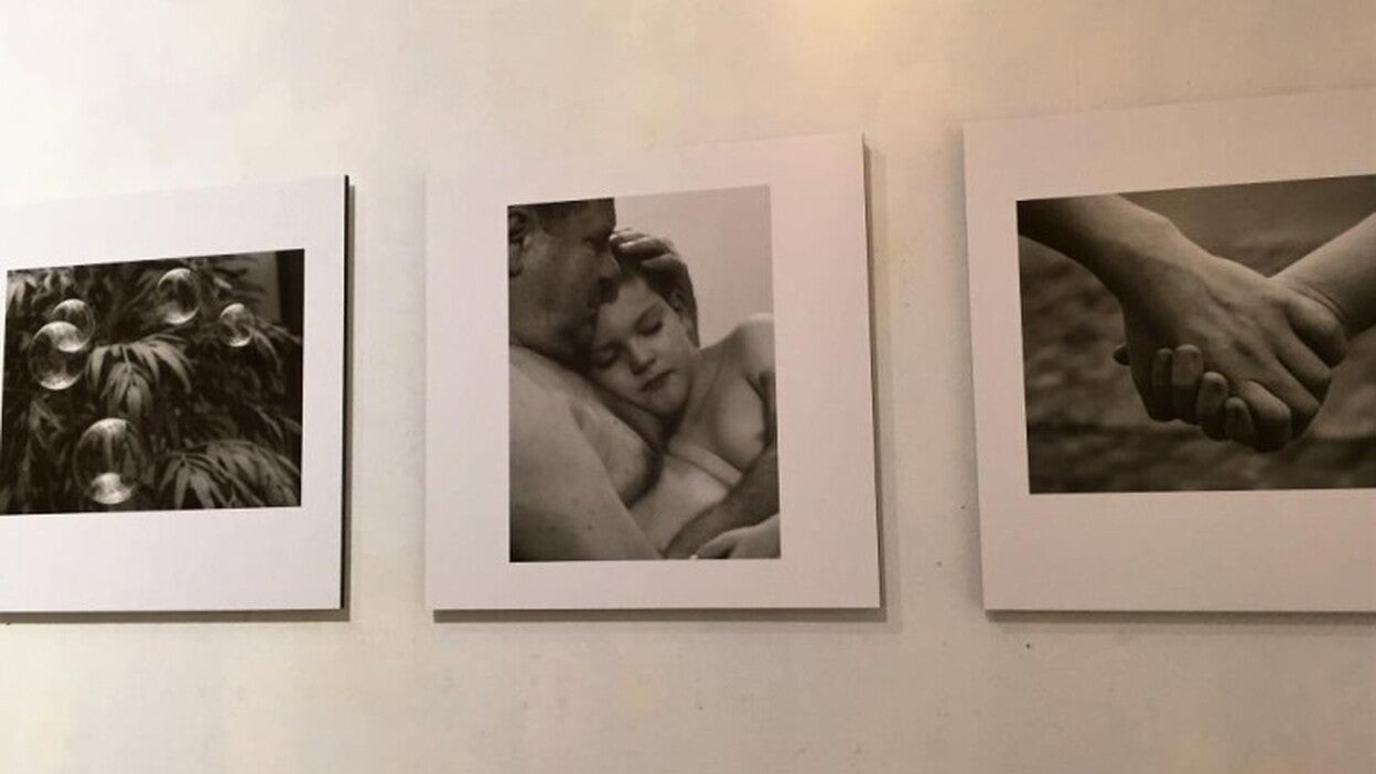 Sentimientos sin barreras