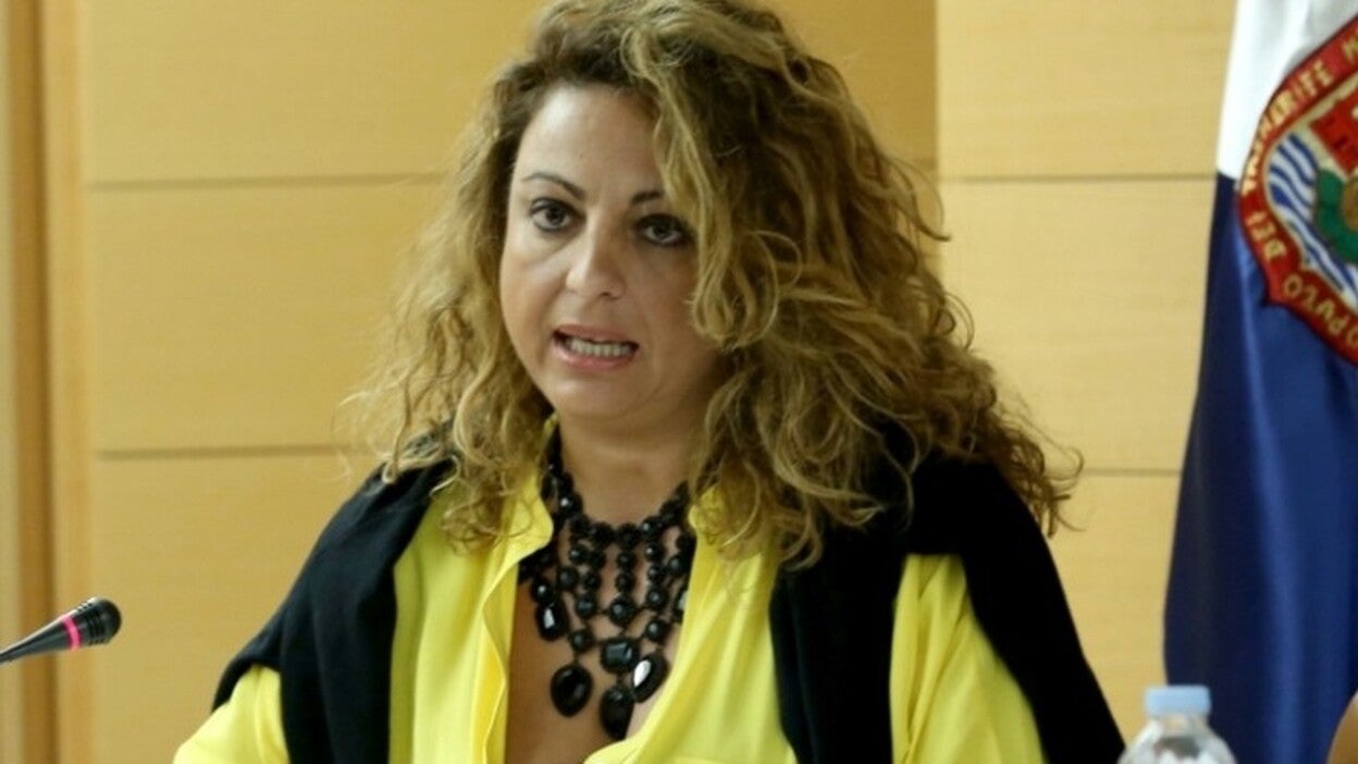 291 familias canarias están en lista de espera para adoptar