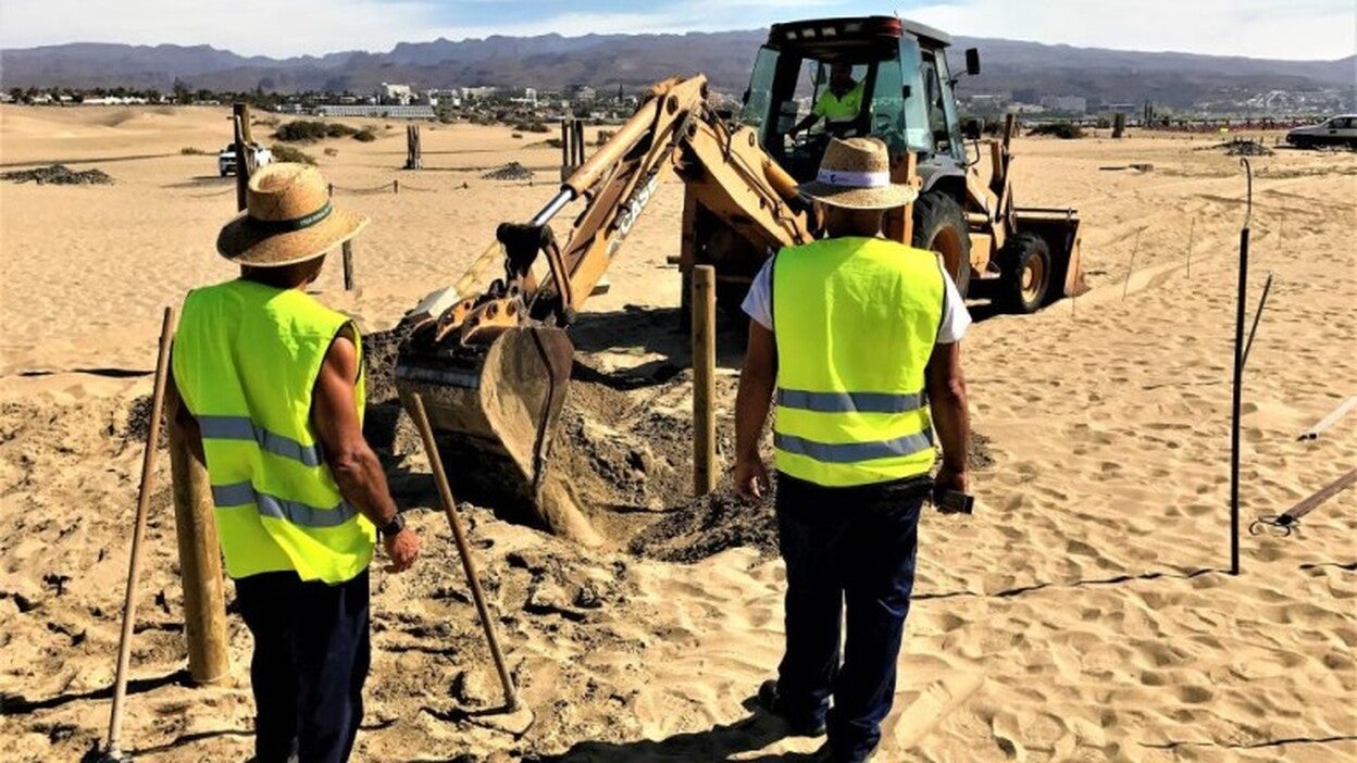 Adiós a la  junta rectora de  la Reserva Natural de las Dunas