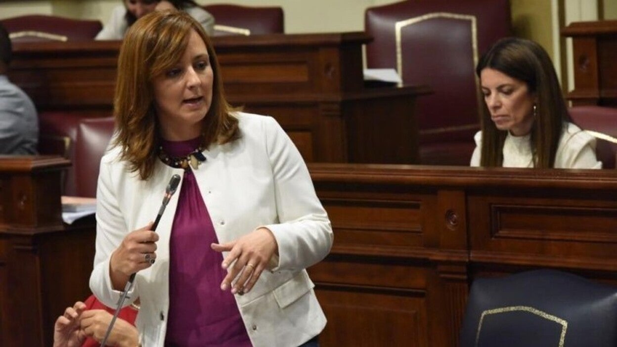 El Gobierno canario estudia recurrir la sentencia que anula el PGO de SC Tenerife