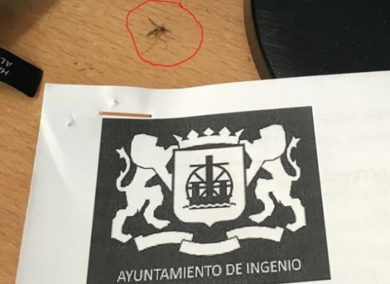 Mosquitos y malos olores en la jefatura de policía de Ingenio