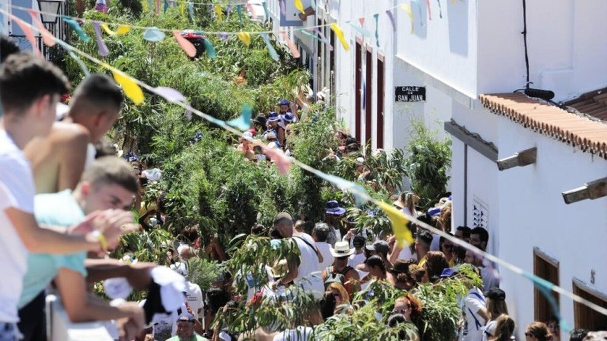 Una Rama frondosa y multitudinaria