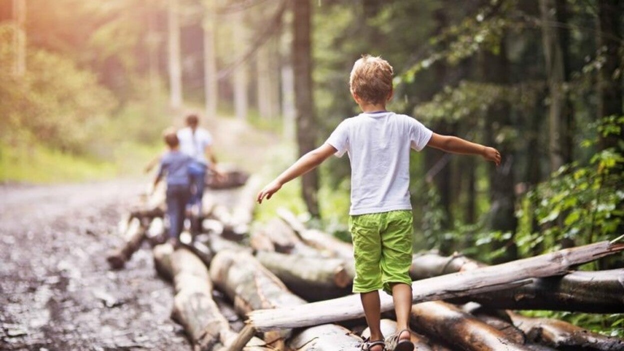 Disfruta de un verano sostenible con el medio ambiente