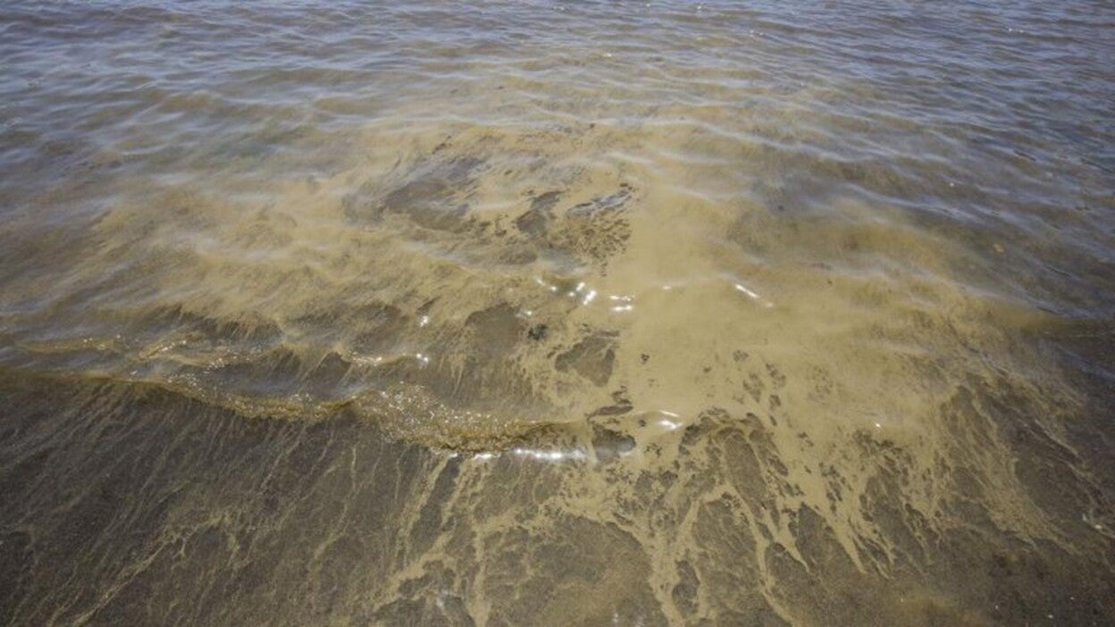 Piden un pleno extraordinario por las microalgas