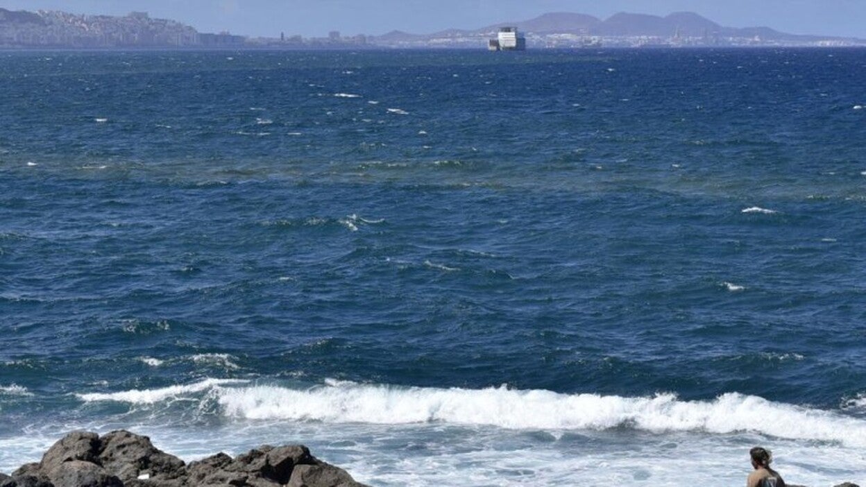 Microalgas: El Gobierno se atrinchera