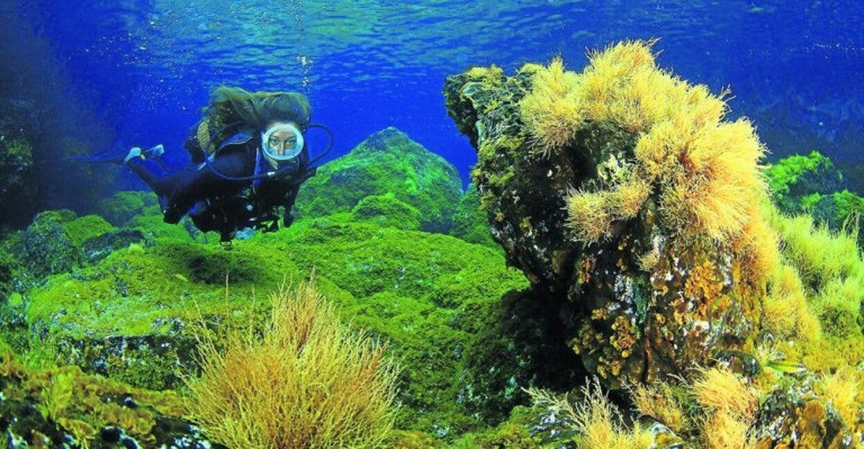 Parque Nacional en ‘stand by’