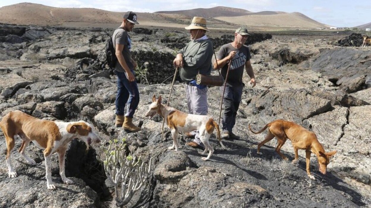 Cada vez más cazadores temen por la supervivencia del conejo