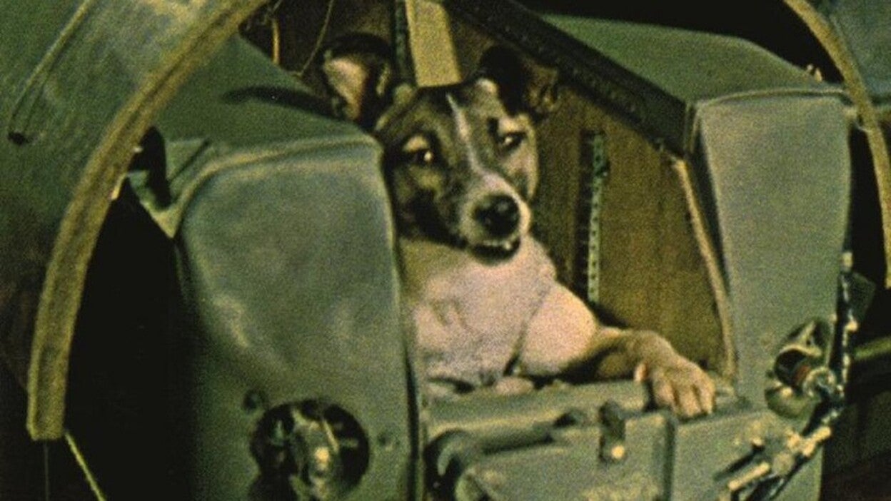 La perra Laika fue lanzada al espacio hace ya 60 años