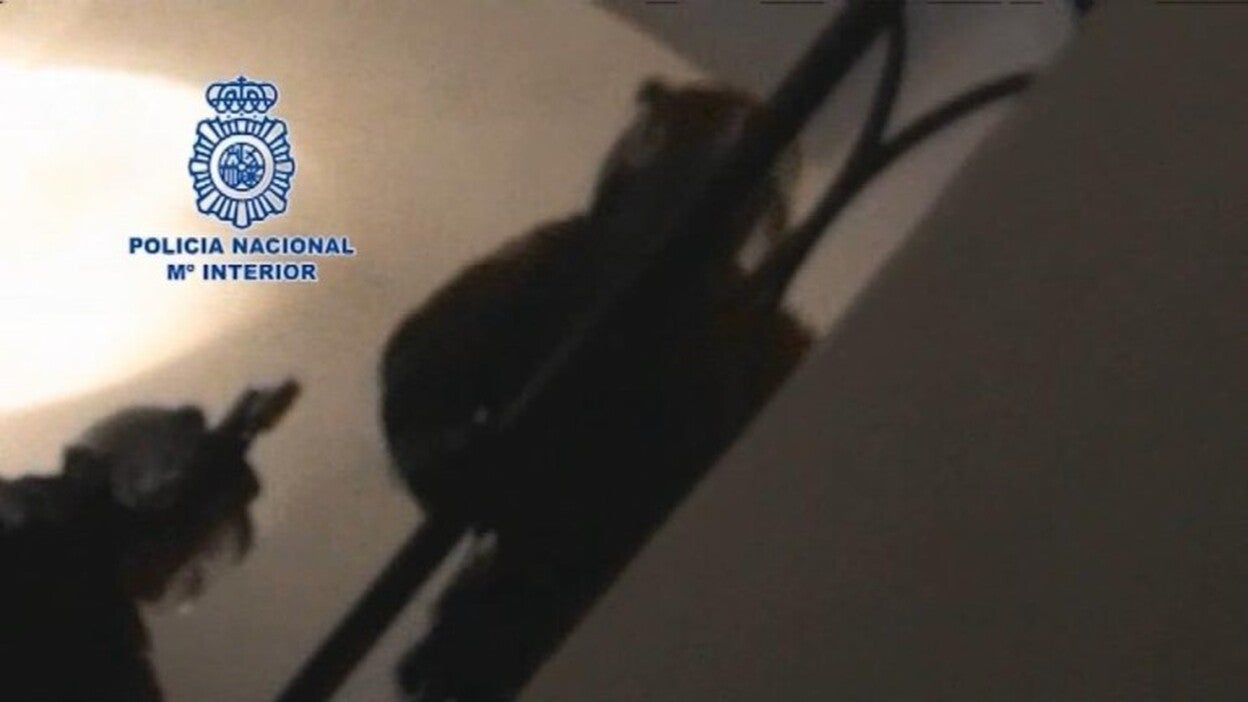 El detenido en Sagunto integrado en DAESH vivía "aislado"