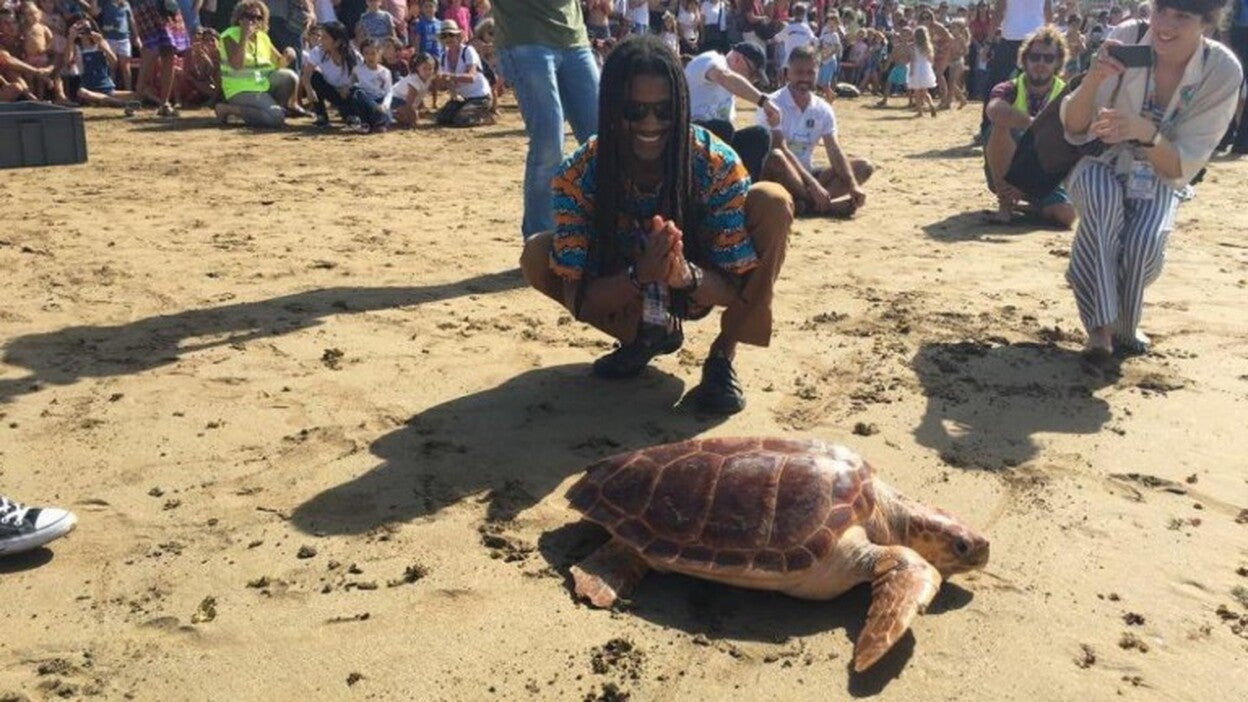 El Womad se baña con tortugas