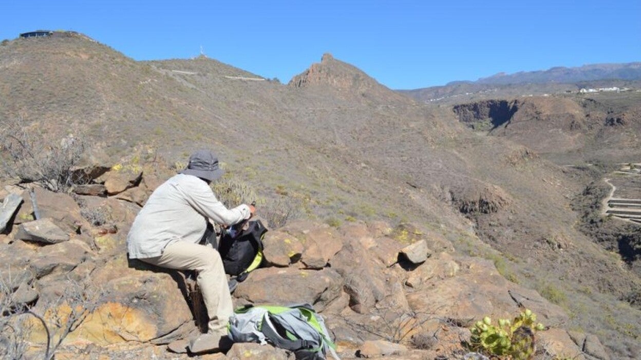 Desde la escritura al ADN, el origen bereber de los indígenas canarios