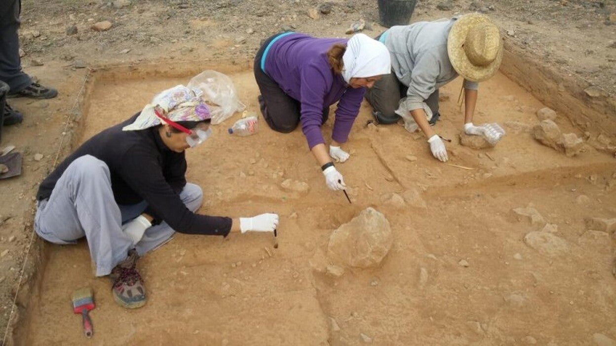 El Cabildo retoma las excavaciones en Zonzamas y Fiquinineo