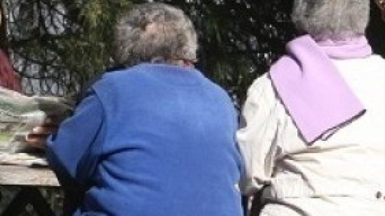 La subida del 0,25 % de las pensiones tendrá un coste de 332,37 millones