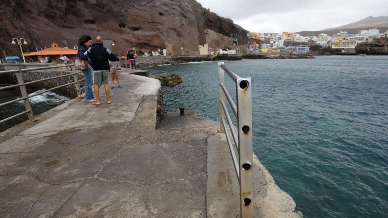 La vida del angelote en Sardina se monitorizará durante 4 años