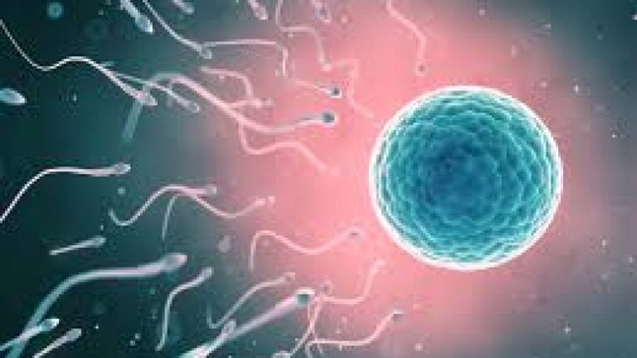 La fecundidad de las francesas, la más alta de Europa