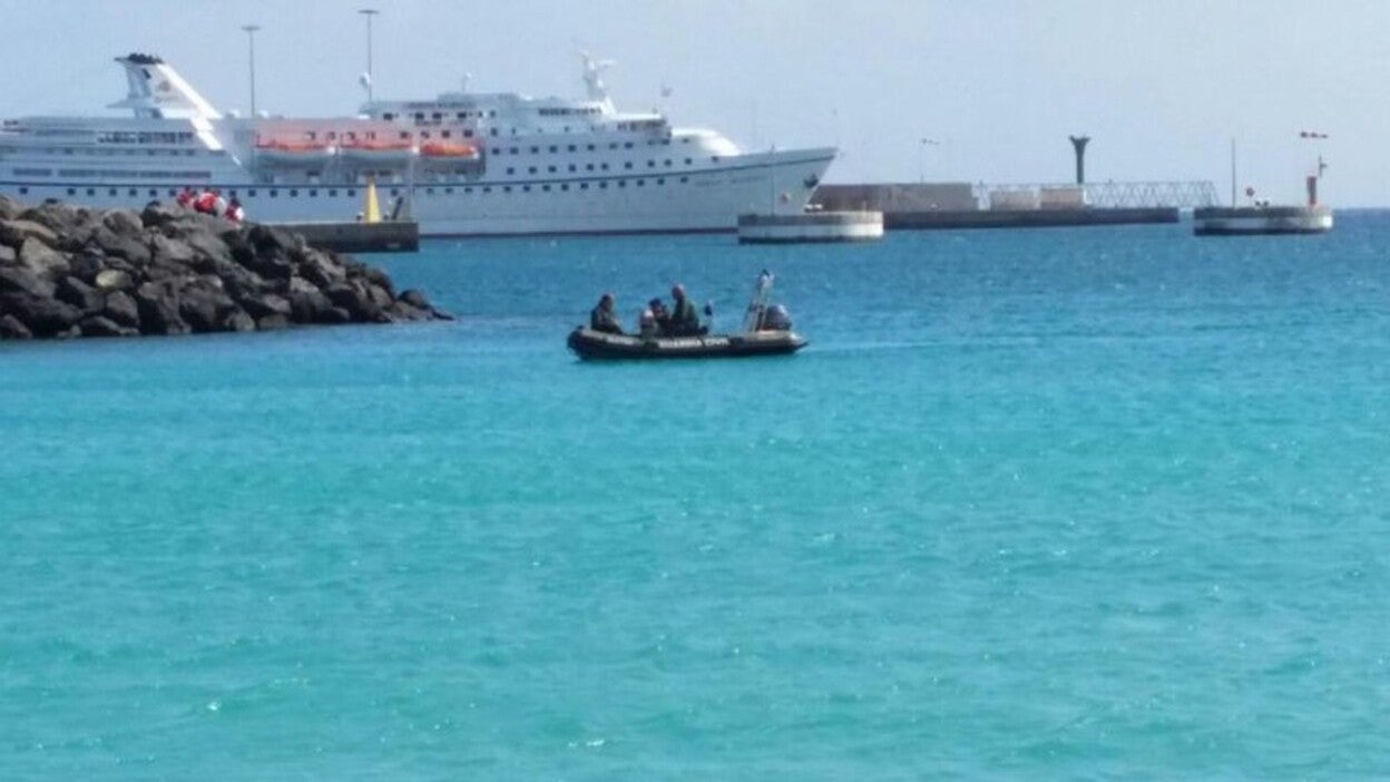 En busca del delfín perdido