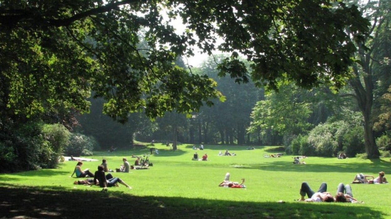 Más zonas verdes para el cerebro