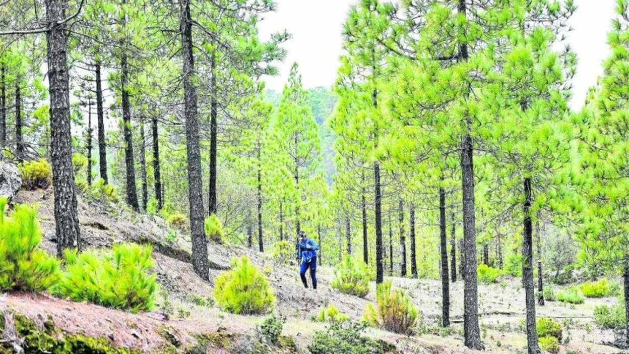 Clasificaciones de la Transgrancanaria