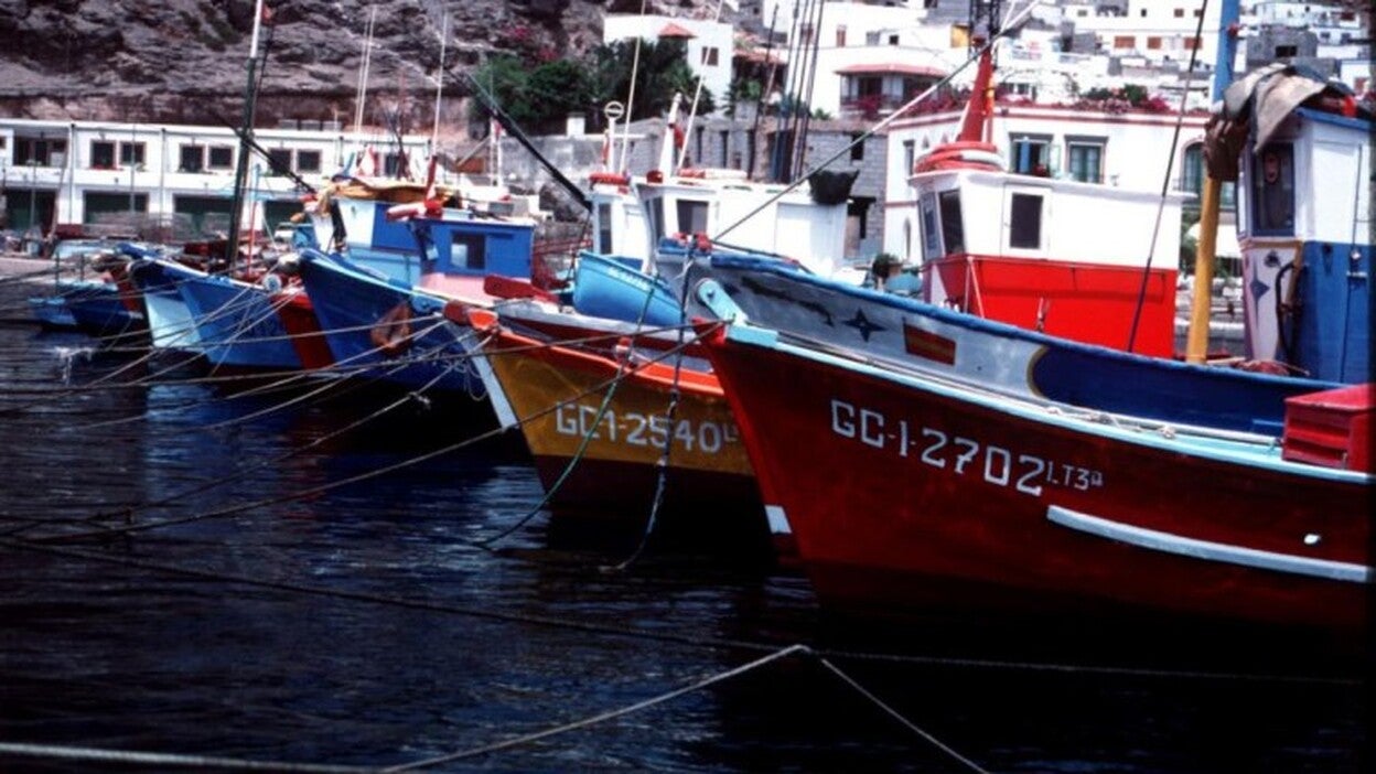 Pescadores canarios recurrirán a la UE para llegar a 800 toneladas atún rojo