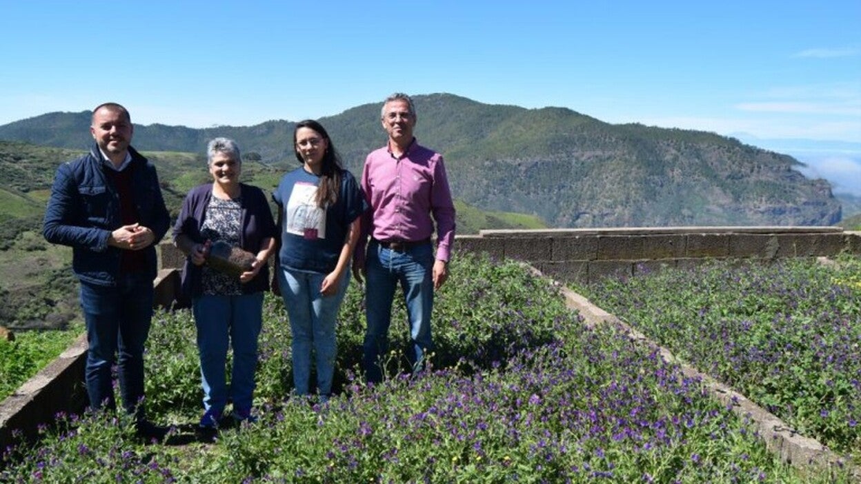 Gáldar defiende el queso artesanal de las medianías