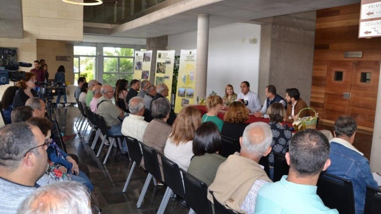 El aceite ‘Caserio de Temisas’ de Agüimes cosecha un 40% más