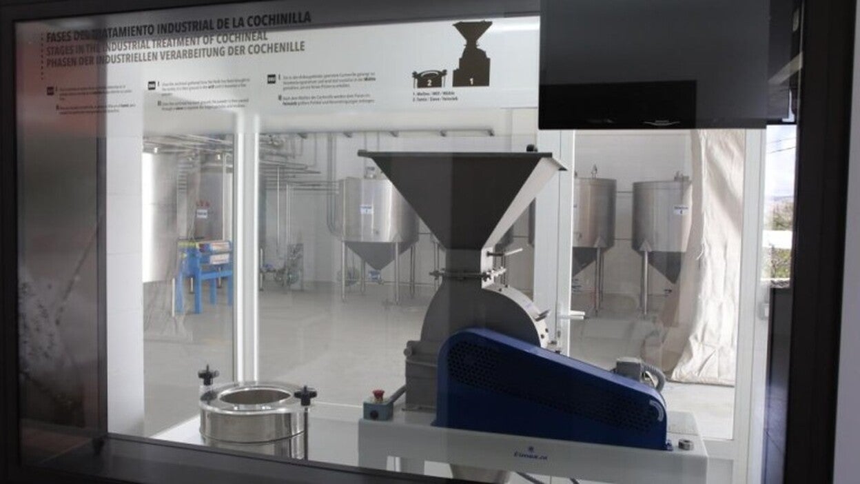 Larga vida para la cochinilla