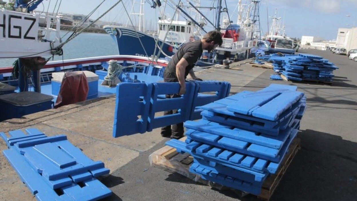 La flota perdió el 80% de atún rojo que le daba el nuevo cupo