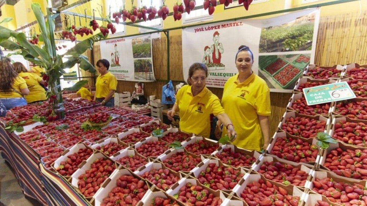 La fresa, el oro de Valsequillo