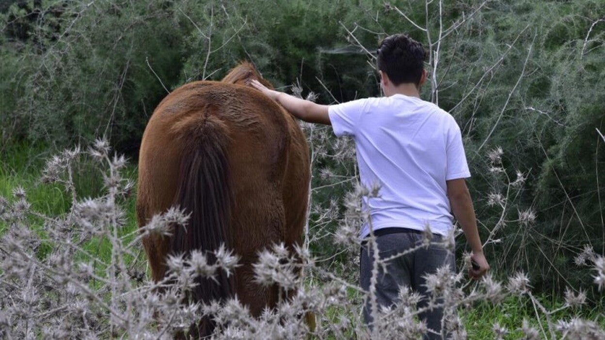 Hallan nuevas alteraciones genéticas del autismo