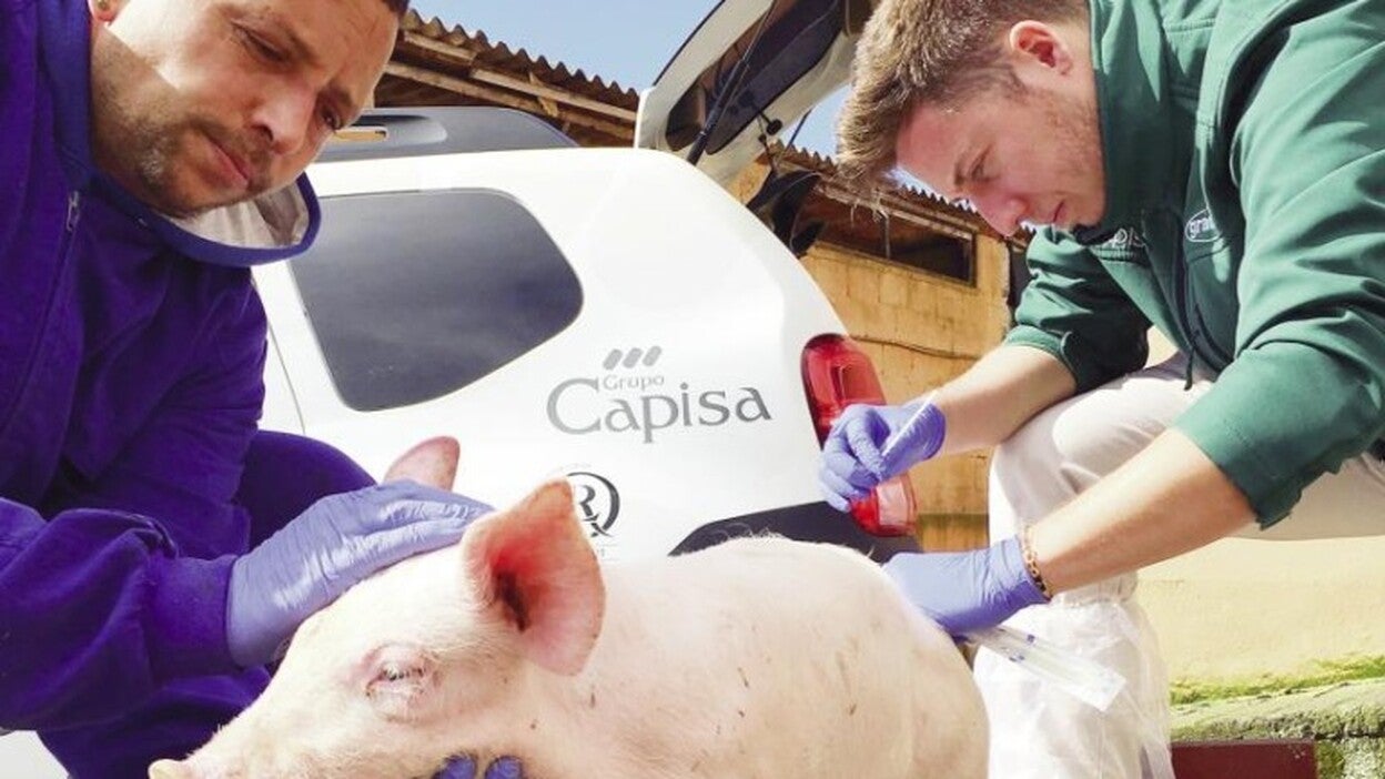 «Trabajamos para asegurar el futuro del sector»