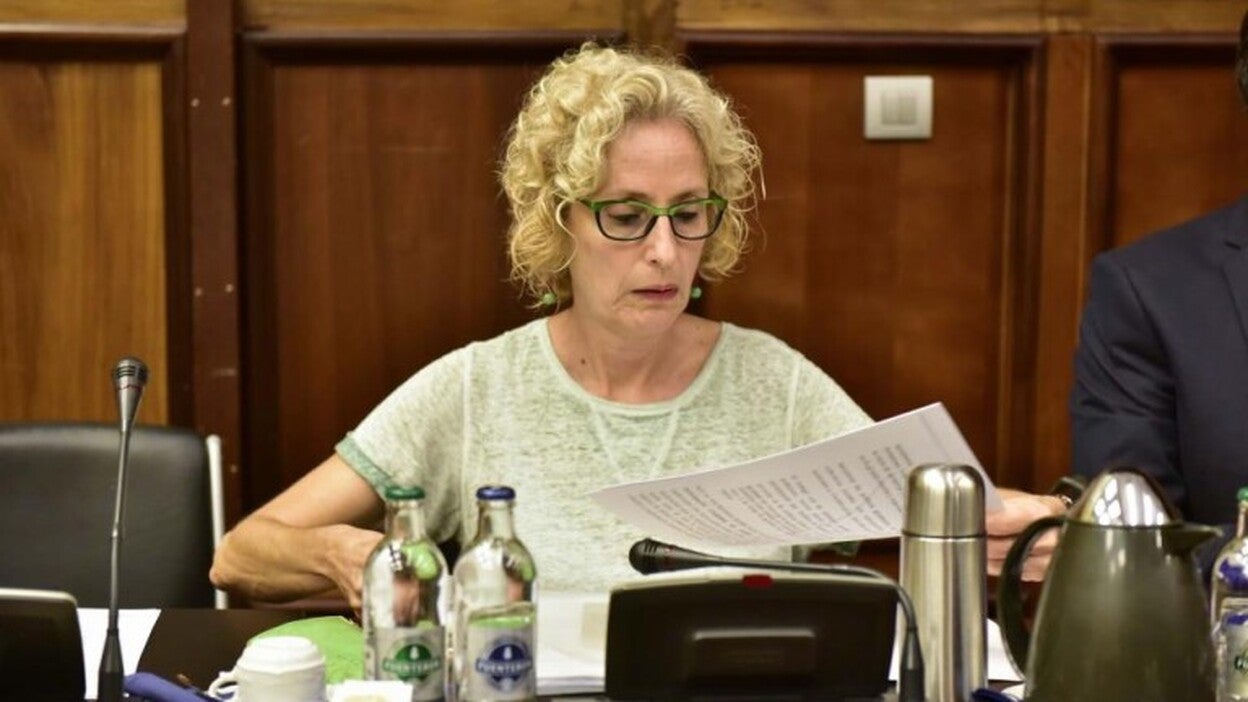 «Se busca perjudicar a Gran Canaria»