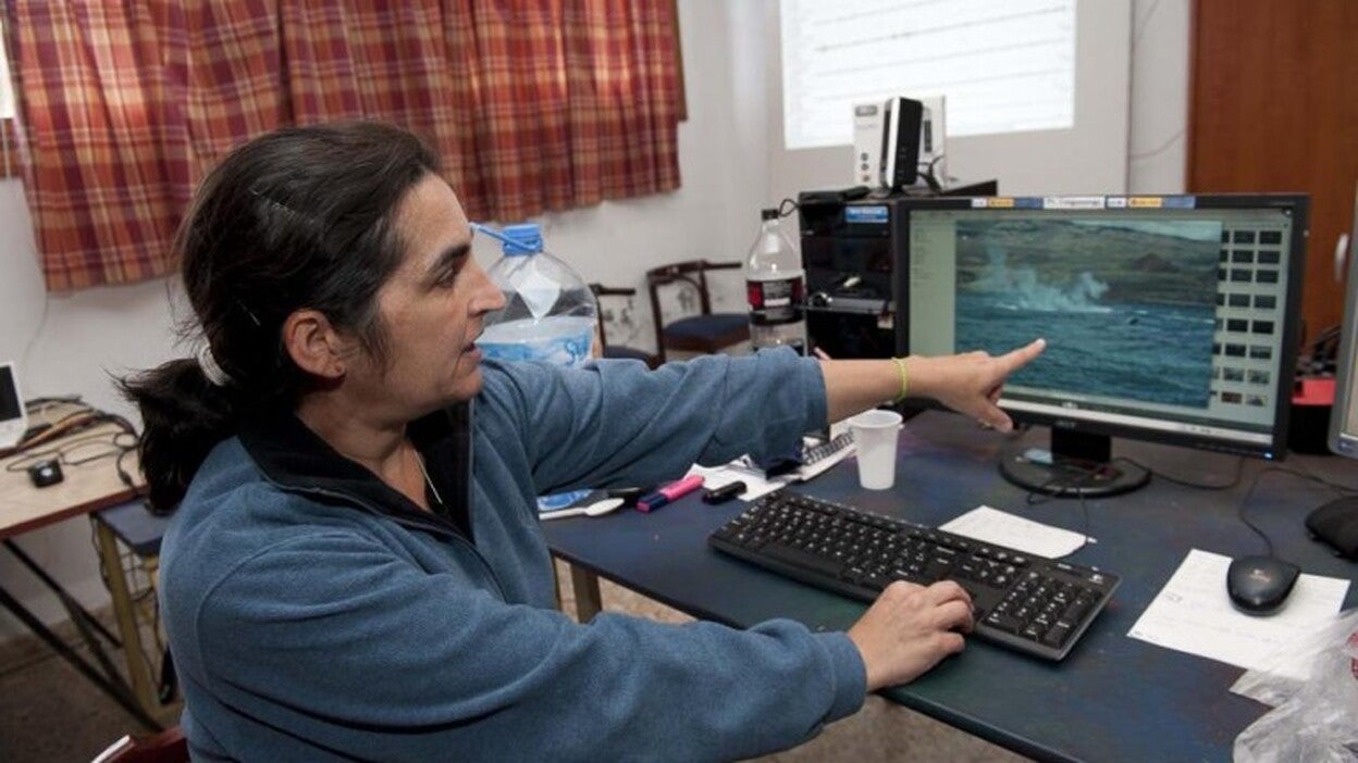 López: «Una actividad sísmica dentro de la normalidad»