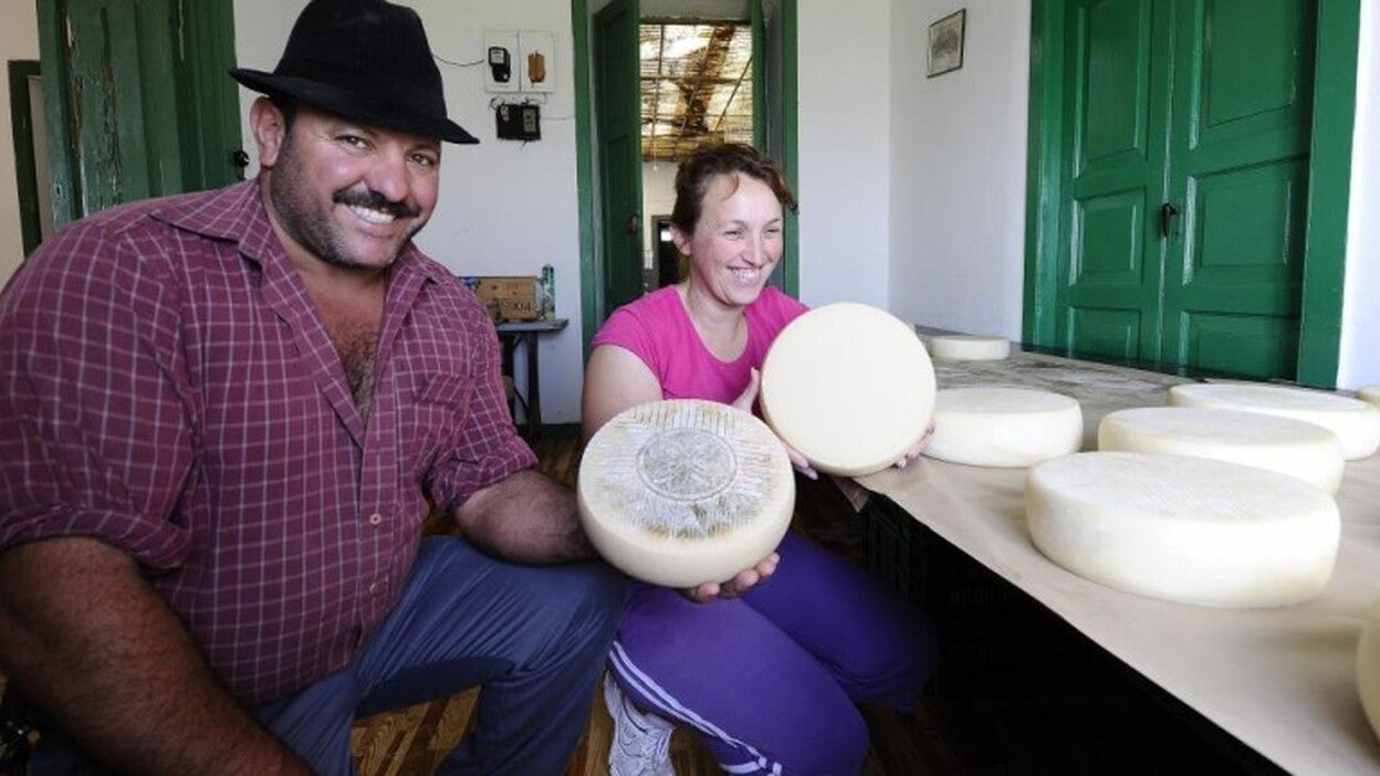 El Gobierno veta a Proquenor la gestión de la DOP Queso de Flor de Guía