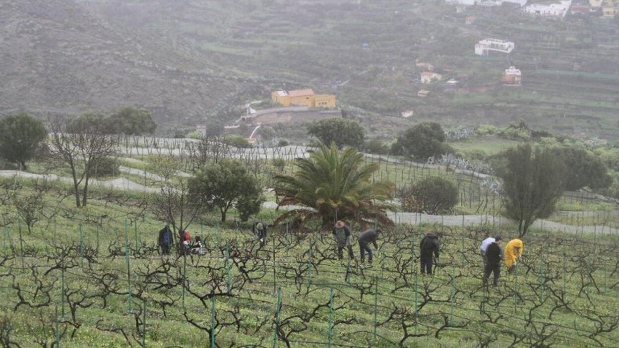 El emprendimiento, en el punto de mira del plan de desarrollo local