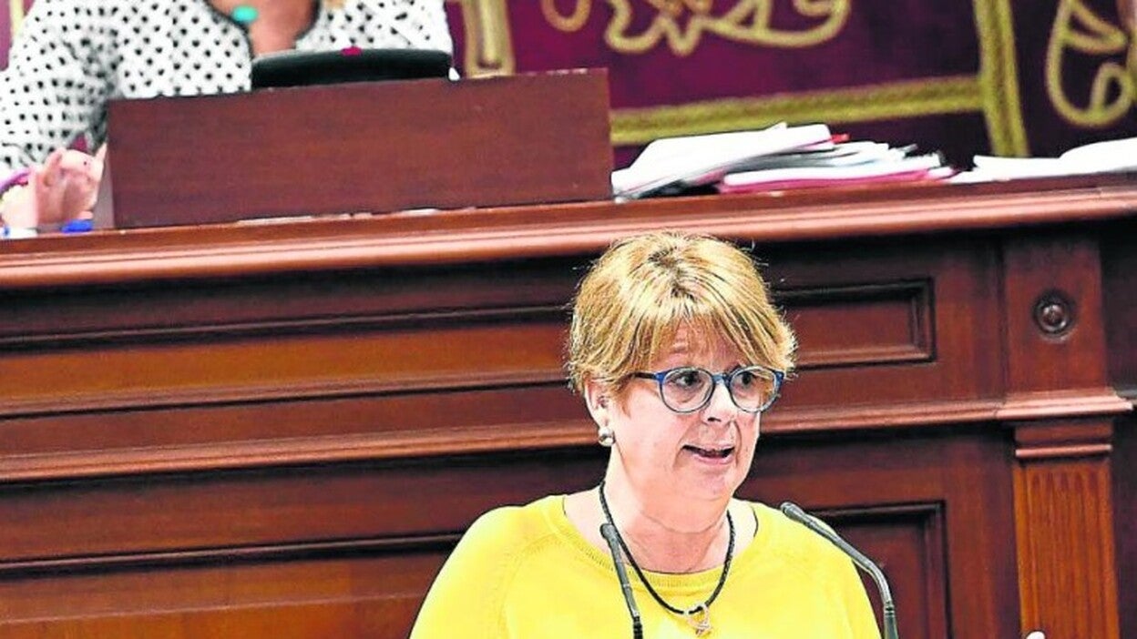 El PP pide eximir de IBI a los inquilinos de vivienda pública
