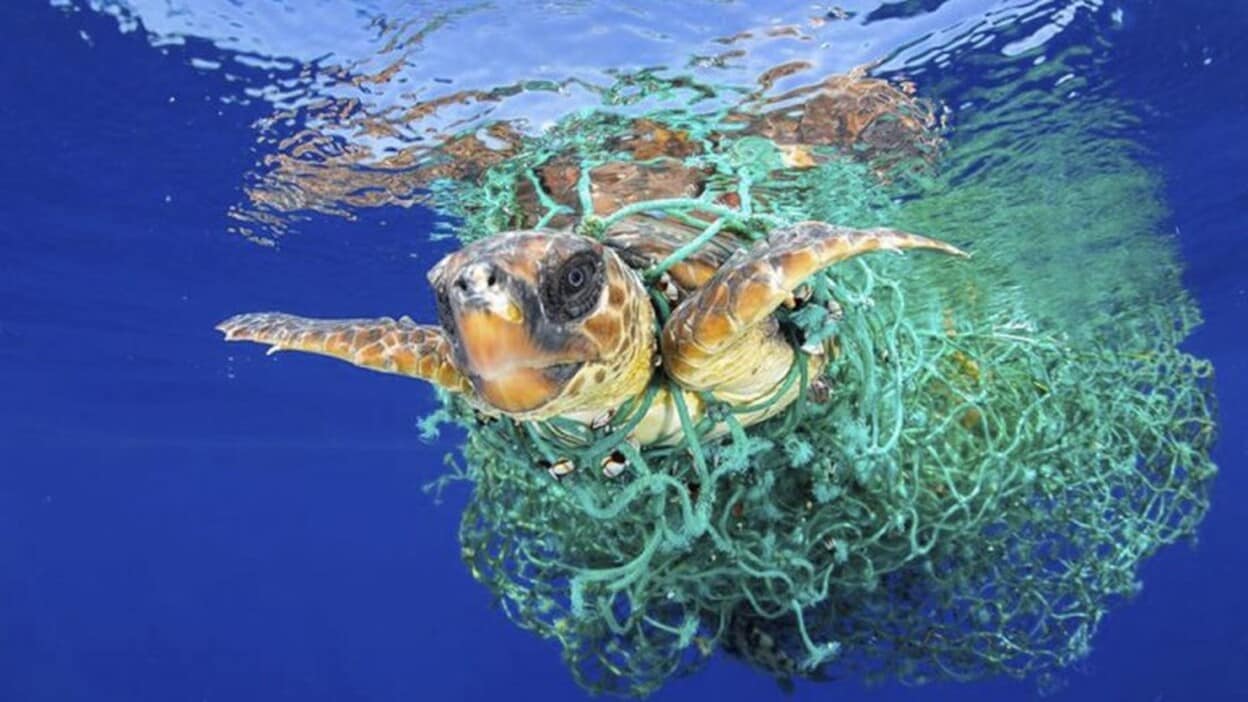 Un laboratorio contra el plástico en el mar