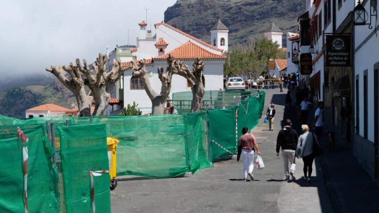 La Justicia retira la medida cautelar de parar la poda de árboles en Tejeda