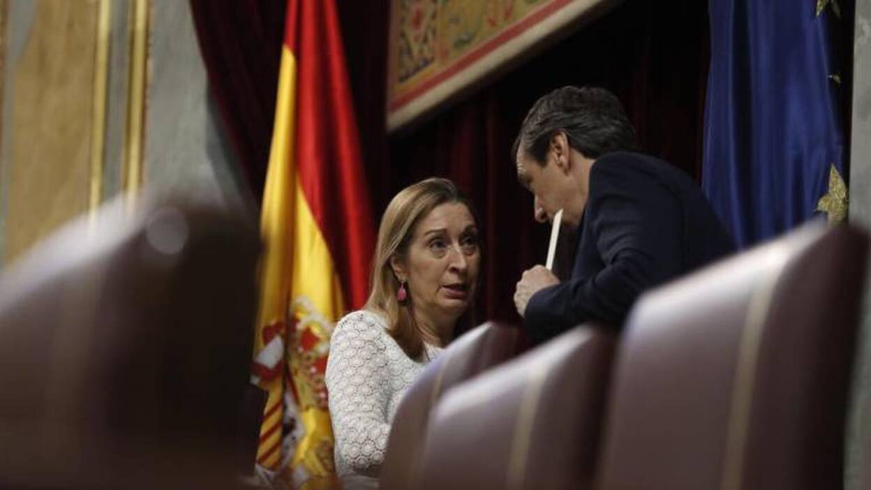 Ana Pastor renuncia a liderar el PP