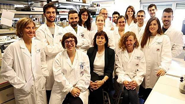 Curan la diabetes tipo 2 y la obesidad en ratones con terapia génica