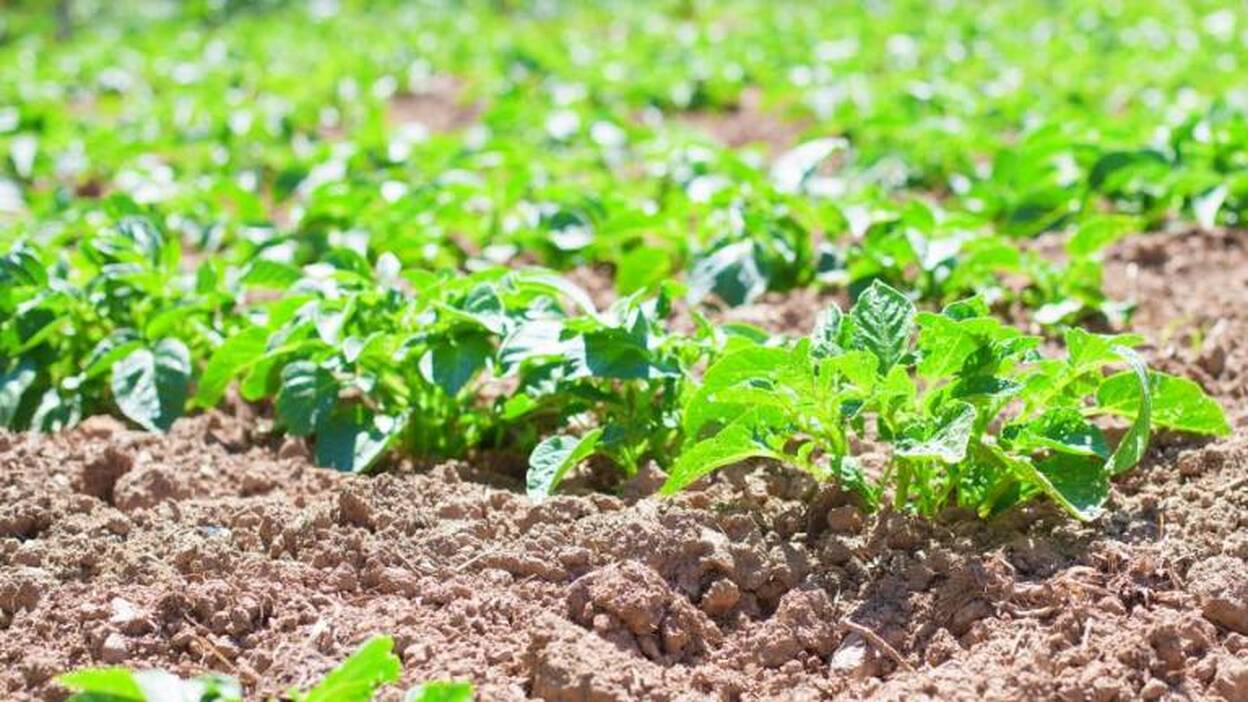 Abriendo fronteras para alcanzar la excelencia