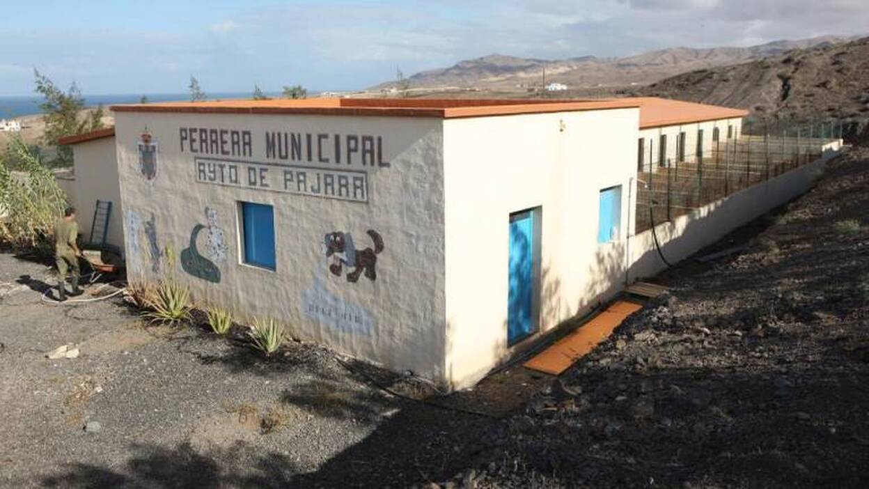 La Fiscalía investiga a Pájara por tres delitos en su perrera