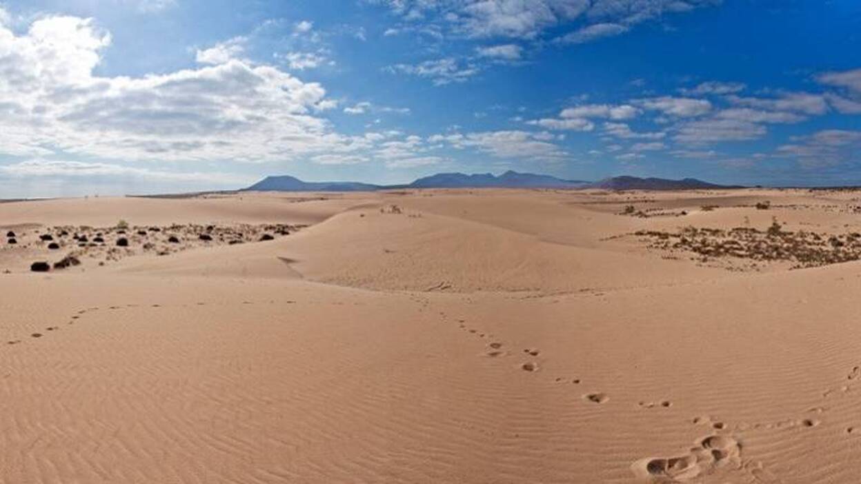 La aguja en el pajar: Identifican polvo del Sáhara en dunas de Fuerteventura