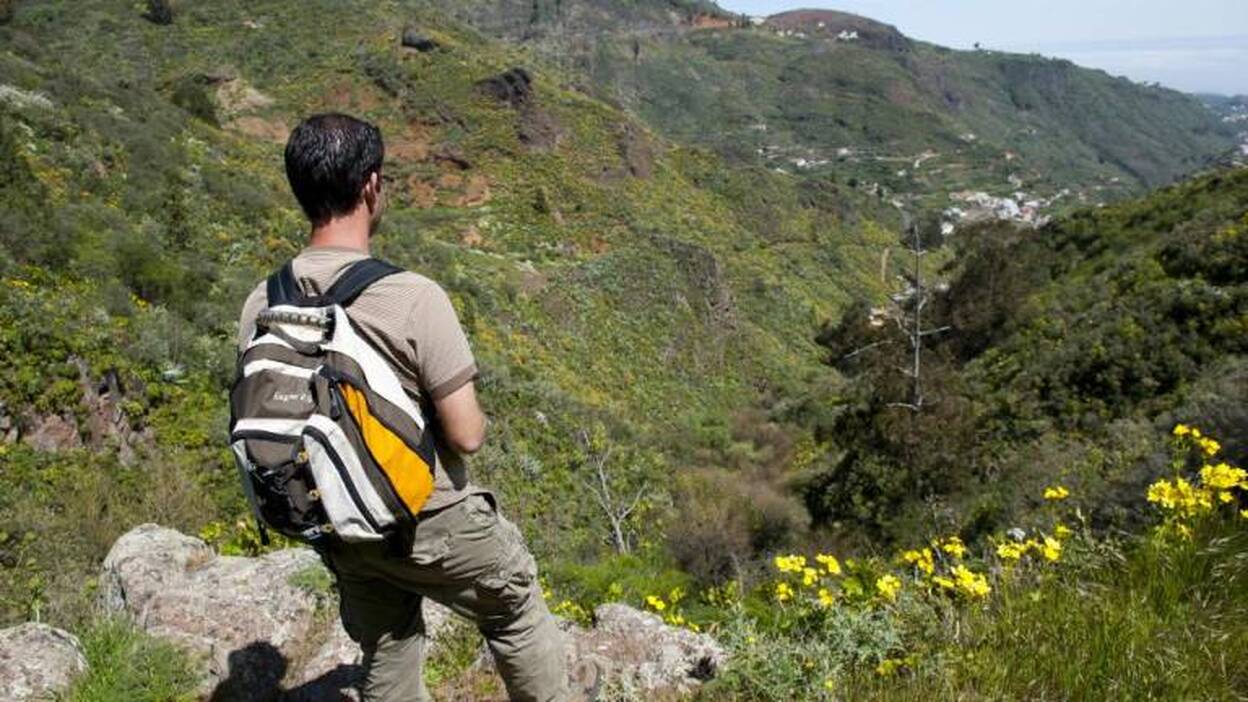 Abierto un proceso restringido de compra pública de fincas rústicas