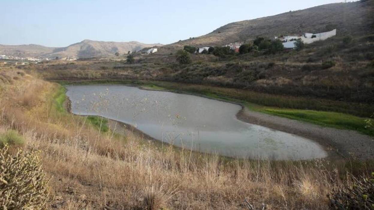 Las Charcas de San Lorenzo, un pulmón verde a punto de secarse