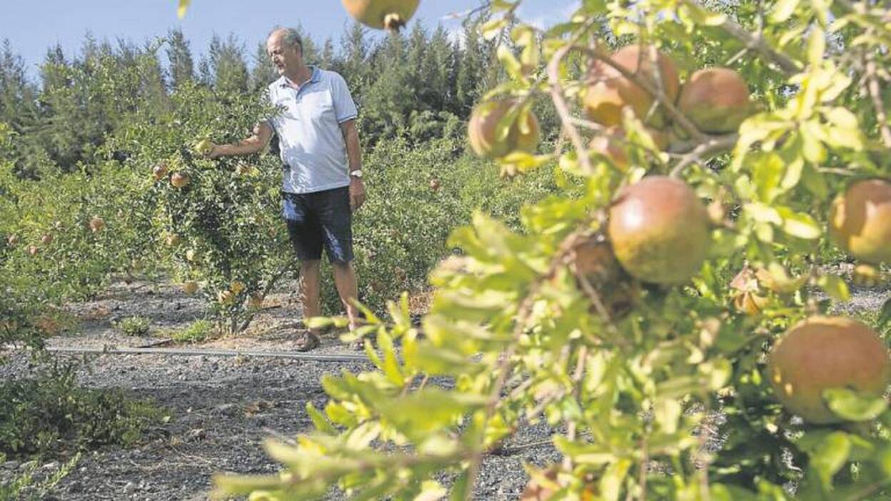 El hombre de los 2.000 granaderos
