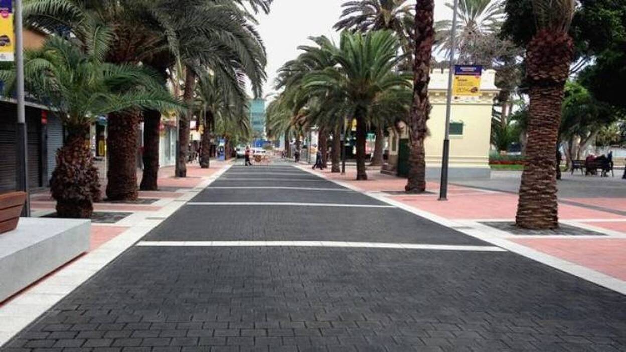 La obra de Luis Morote obliga a trasladar catorce palmeras