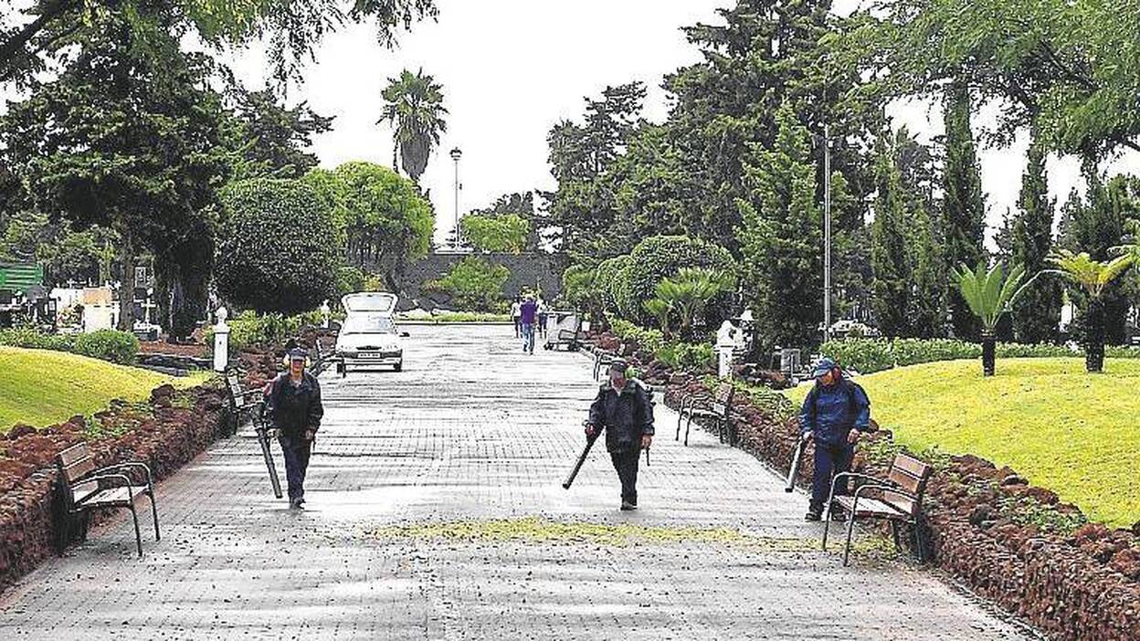 Horarios ampliados y dispositivos especiales para Todos los Santos